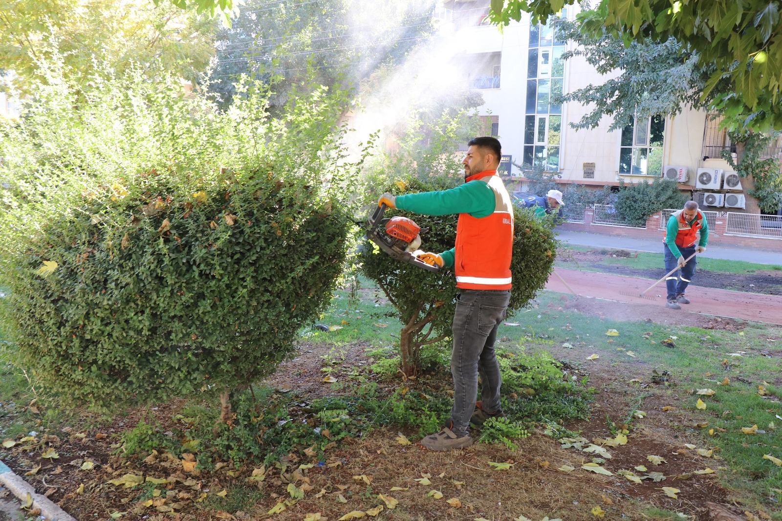 WhatsApp Image 2025-10-31 at 10.17.29.jpeg