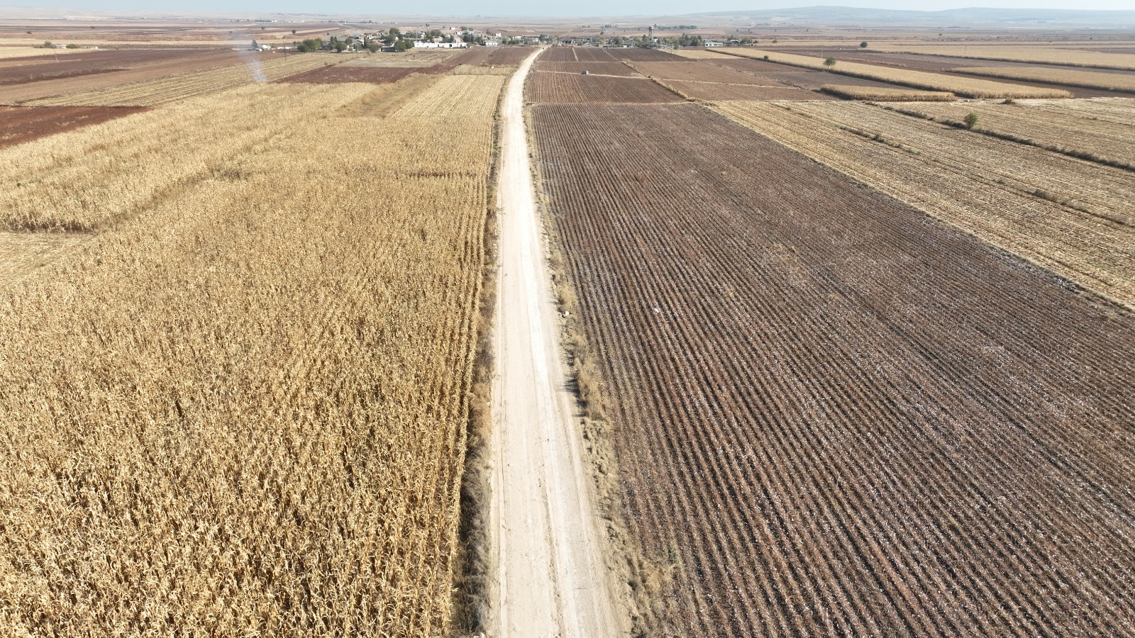 WhatsApp Image 2025-11-28 at 11.05.43.jpeg