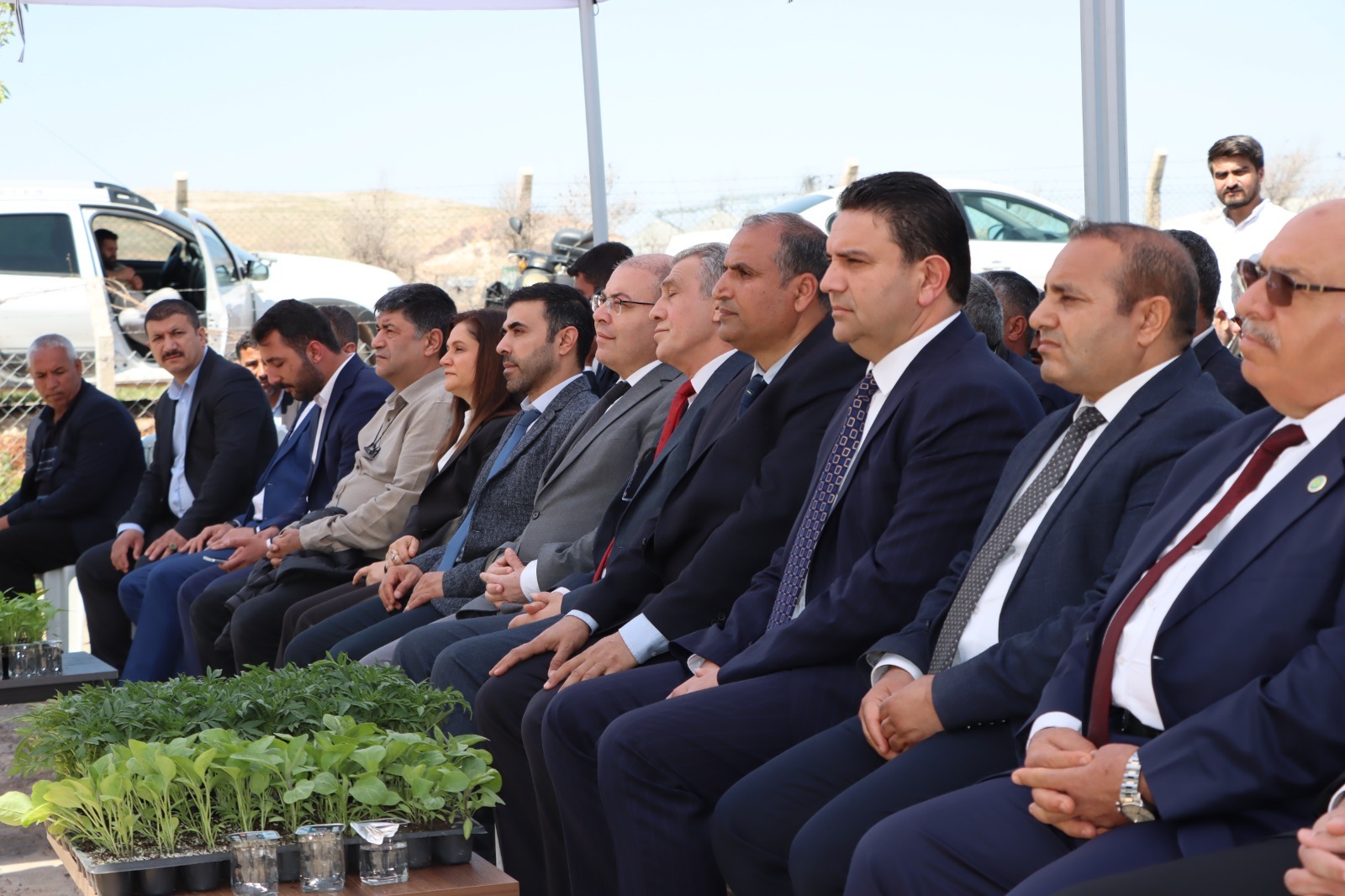 WhatsApp Image 2026-04-24 at 15.50.20.jpeg