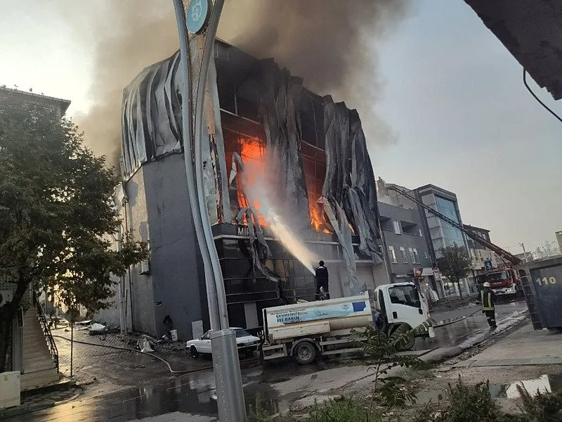 WhatsApp Image 2025-11-08 at 11.06.52.jpeg