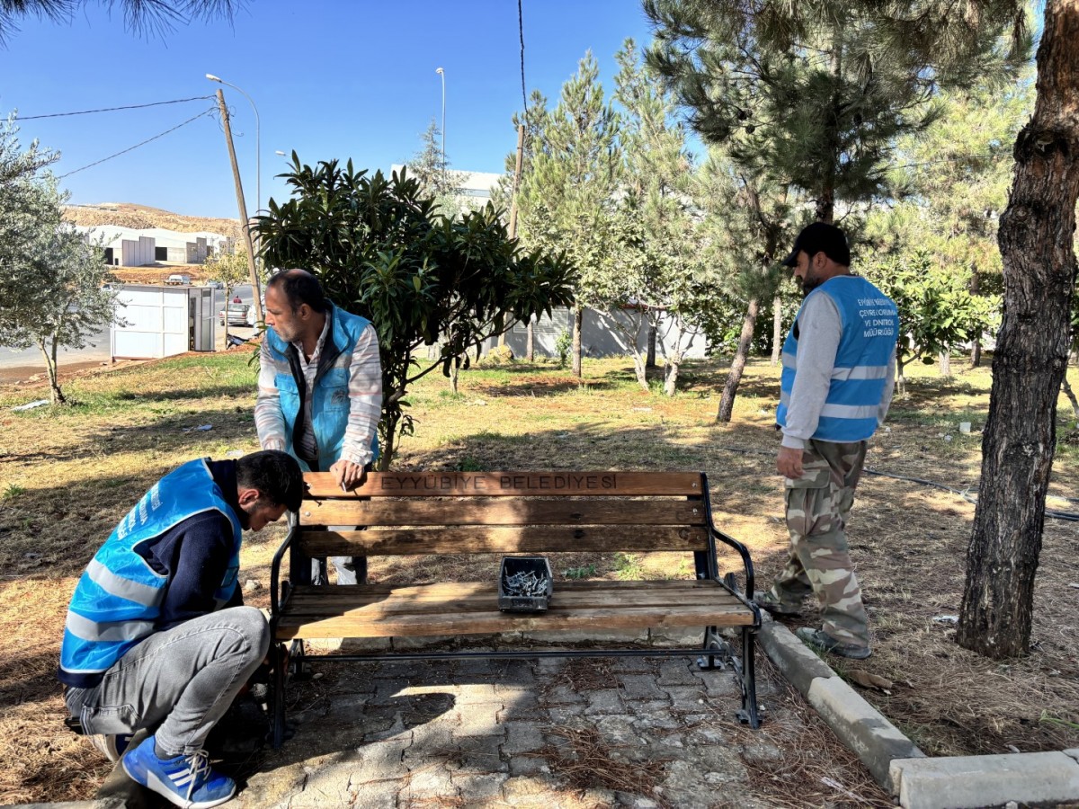 WhatsApp Image 2025-10-17 at 16.41.00.jpeg