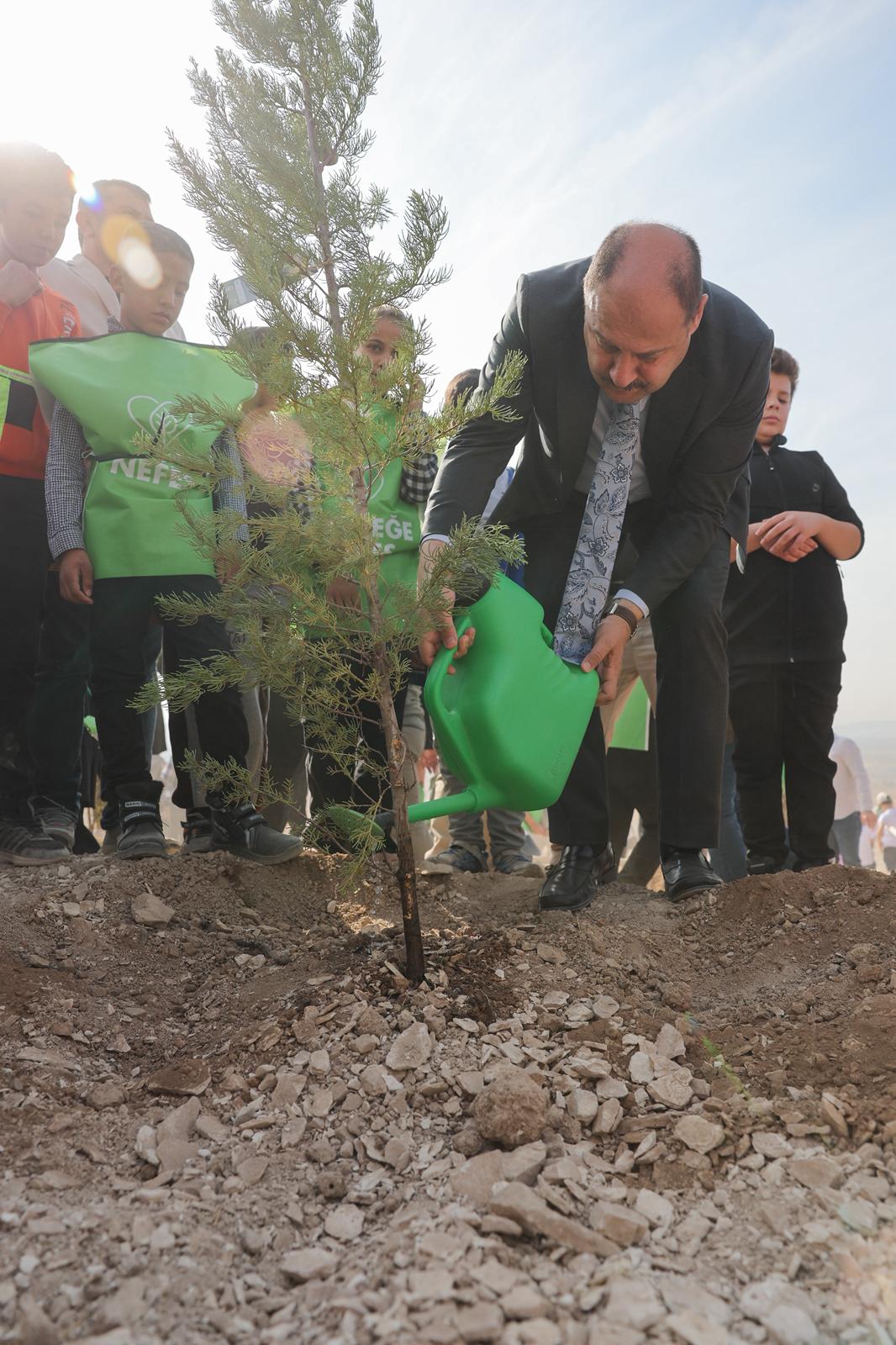 WhatsApp Image 2025-11-12 at 13.41.07.jpeg